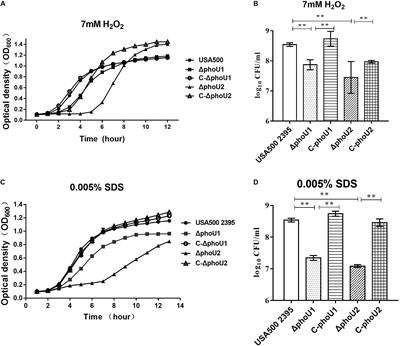 Staphylococcus aureus PhoU Homologs Regulate Persister Formation and Virulence